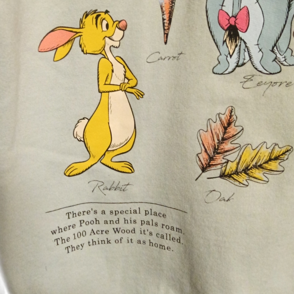 Disney Winnie The Pooh Zip Up Hoodie Size XS Very Good Condition - Picture 4 of 4